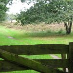 Drenthe